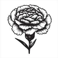 Carnation Stem Drawing vector