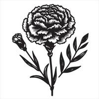 Carnation Floral Design vector
