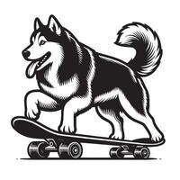 Active Siberian Husky on Scooter Cartoon vector