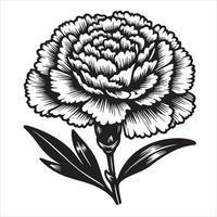Realistic Carnation Flower vector