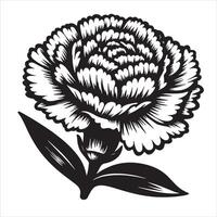Hand Drawn Carnation vector