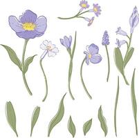 Purple Flower and Leaf Element Set Hand-drawn Botanical vector