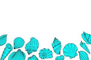 Seashells, copy space for design or message. Hand drawn illustration vector