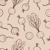 Seamless pattern with radish Hand drawn illustration. vector