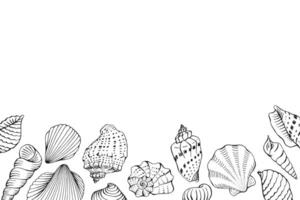 Frame with seashells with copy space. Hand drawn vector