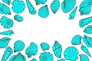Frame, seashells with copy space for design or message Hand drawn vector