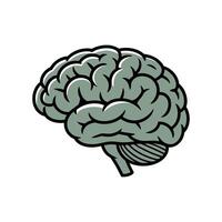 Stylized Human Brain Illustration with Detailed Lobes and Cerebellum Rendered in Muted Green Tones with Bold Black Outlines on a White Background simplified vector