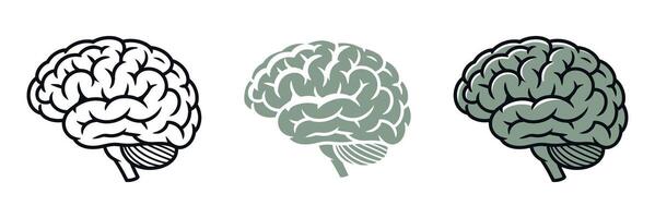 Three Brain Illustrations in Different Styles Outline Solid Color and Shaded with Outline Representing Neurology Intelligence and Cognitive Function on a White Background vector