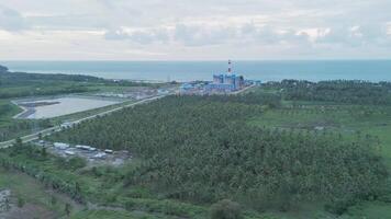 Aerial View of Lush Green Palm Trees and Modern Infrastructure by the Seaside Coastline video