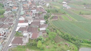 Aerial View of Quaint Village Surrounded by Lush Green Terraced Fields in a Beautiful Landscape video