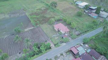 Aerial View of a Serene Countryside Landscape Featuring a House Surrounded by Fields and Palm Trees video