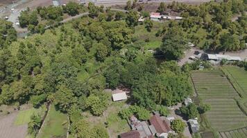Aerial View of Lush Green Landscape Surrounded by Agricultural Fields and Structures video