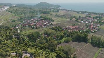 Aerial View of Lush Fields and Residential Area Near the Coast with Verdant Hills in the Background video