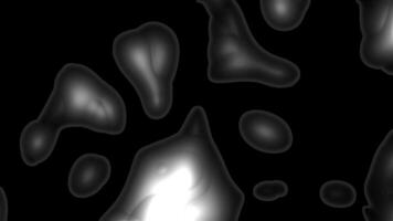 Abstract grayscale blobs on black background. Organic shapes, flowing forms, monochrome, design, illustration. video