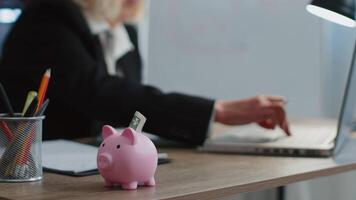 Piggy bank, senior business woman accountant typing on laptop computer calculating money income video