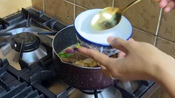 A person prepares a comforting soup on a stovetop, reflecting home cooking, warmth, and culinary traditions close up of hands Asian descent video