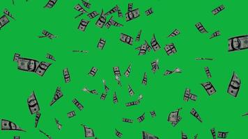 Animated Falling Money Loop - Easy Composite Green Screen Background video