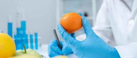 Scientist check chemical food residues in laboratory. Control experts inspect quality of vegetables vegetables. lab, hazards, find prohibited substances, contaminate, Microscope, Microbiologist. photo