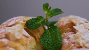 Delicious slice of mille feuille cake with mint leaf on a plate in a cafe, with a coffee cup on the side video