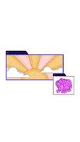 Radiant sunrise and peony flower popups web windows 2D cartoon vertical animation. Sunburst morning light, pink blossom in pop-ups floating animated flat colorful object 4K isolated on white video