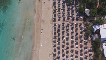 Aerial view of a sandy beach in Ayia Napa, Cyprus, with straw umbrellas, sunbeds, turquoise waters, swimmers, and lush greenery in slow drone motion. video