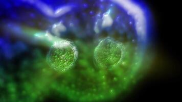 Studying bacteria through a microscope. Abstract animation of moving transparent green-blue bacteria for any medical, technological and similar projects. video