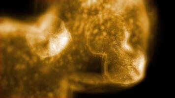 Studying bacteria through a microscope. Abstract animation of moving transparent golden-yellow bacteria for any medical, technological and similar projects. video