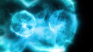 Studying bacteria through a microscope. Abstract animation of moving bright blue bacteria for any medical, technological and similar projects. video