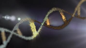 An animation of the DNA double helix structure in silver and neon grey, showing its twisted ladder structure in looping motion. video