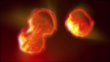 Studying bacteria through a microscope. Abstract animation of moving transparent golden-red bacteria for any medical, technological and similar projects. video