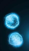 Studying bacteria through a microscope. Abstract animation of moving blue bacteria for any medical, technological and similar projects. video
