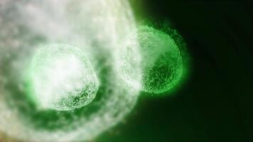 Studying bacteria through a microscope. Abstract animation of moving transparent green bacteria for any medical, technological and similar projects. video