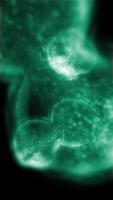 Studying bacteria through a microscope. Abstract animation of moving muddy bacteria for any medical, technological and similar projects. video