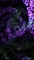 A mesmerizing cosmic spectacle. A neon-violet spiral galaxy spins smoothly, throwing out meteors and streams of plasma. video