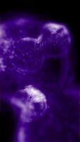 Studying bacteria through a microscope. Abstract animation of moving bright purple bacteria for any medical, technological and similar projects. video