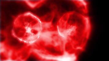 Studying bacteria through a microscope. Abstract animation of moving bright red bacteria for any medical, technological and similar projects. video