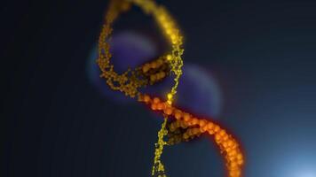 An animation of the DNA double helix structure in gold, showing its twisted ladder structure in looping motion. video