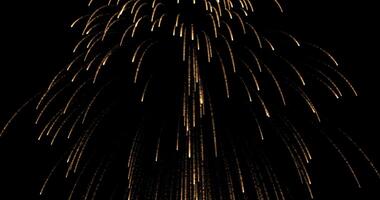 Huge multi-colored sparks fly in different directions, creating magnificent geometric patterns. The atmosphere is filled with joy and delight, creating a sense of celebration and magic.253 video