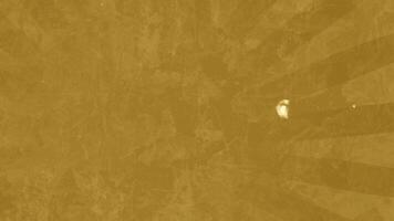 Attractive graphics with golden hues and sparkling textures create a sense of warmth energy and timeless design. video