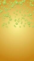 Abstract animation of numerous small kiwi fruit slices falling or floating dynamically on a vibrant yellow-orange gradient background, creating a cheerful and textured pattern. video