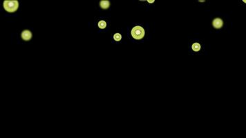 Abstract animation of vibrant green kiwi fruit slices falling and floating against a black background, creating a refreshing and dynamic motion graphic loop. video
