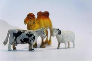 A toy camel, sheep and goat on a white background photo