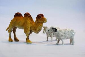 A toy camel and sheep on a white background photo