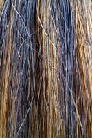The textured fibers of a coconut broom, woven in a striking pattern of yellow and black, create a vibrant contrast against the rustic handle photo