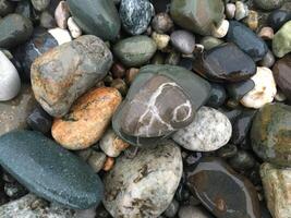 Colorful wet pebbles on the shore. Natural stone texture background. photo