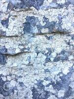 Lichen on weathered stone surface. Natural texture background. photo
