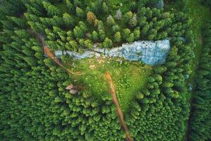 Aerial view of a big stone slab on a mountain slope forest. photo