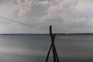 A wooden pole with a rope attached to it photo
