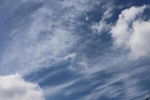 A kite flying in the sky with a cloud in the background photo