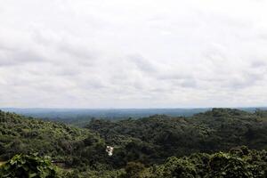 A man standing on a hill overlooking a forest photo